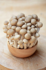 brown shimeji mushrooms or enokitake mushrooms in wooden bowl, fresh shimeji mushrooms