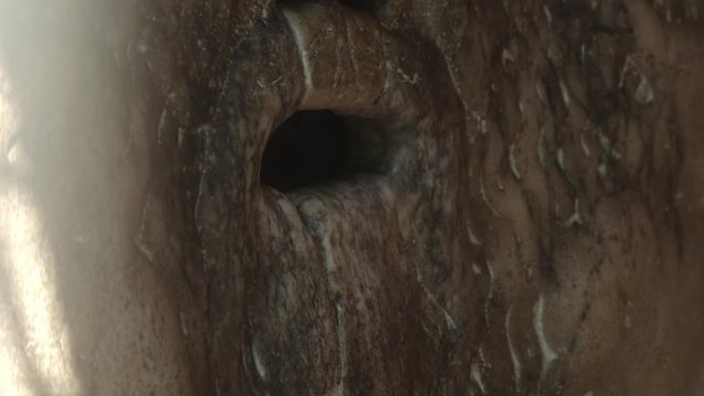 Bocca della Verit&agrave; a Roma, Italia, Europa