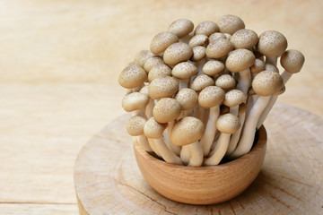 brown shimeji mushrooms or enokitake mushrooms in wooden bowl, fresh shimeji mushrooms