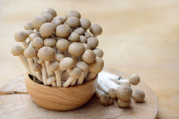 brown shimeji mushrooms or enokitake mushrooms in wooden bowl, fresh shimeji mushrooms