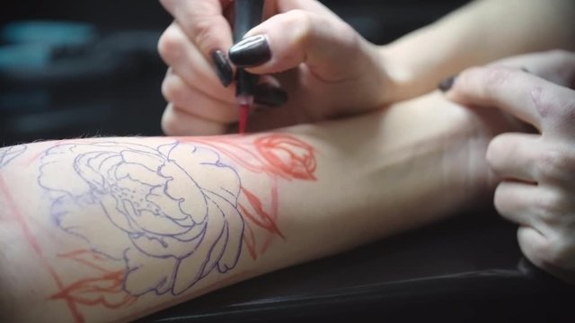 Close up of hands of woman tattoo artist drawing flower contour with red felt tip pen on arm of her client