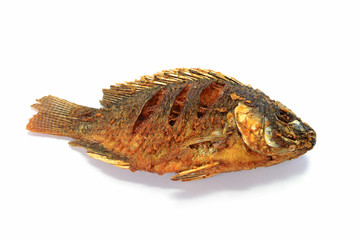 Fried Tilapia fish fried isolated on white background