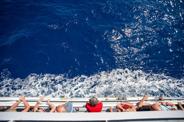 Passengers of cruise ship looking at sea, top view