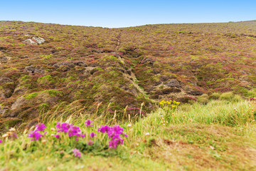 Obraz premium Popular St Agnes and Chapel Porth Atlantic ocean coast, Cornwall