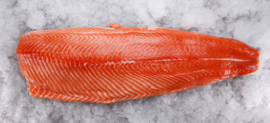Salmon fillet on ice