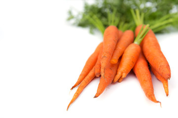 Fresh carrot crop in the garden