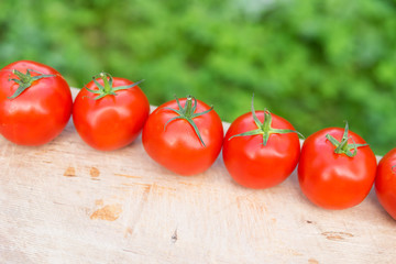 Fresh tomatoes on wooden background