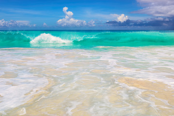 Seychelles beach - nature background © lucky-photo
