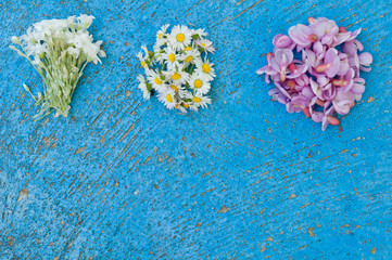 Small bunches of different flowers on an old textured light blue background