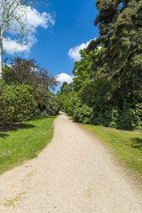 Fototapeta na wymiar A path througn Virginia Water Park in Surrey, UK