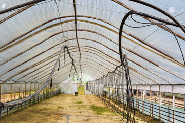 Empty big vegetable greenhouse interior