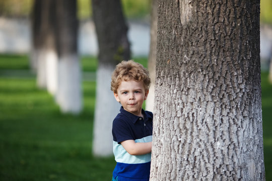 Little Boy Is Hiding Behind A Tree