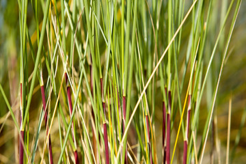 cote atlantique francaise