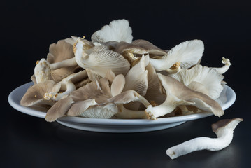 oyster mushroom dish in white against a black background.