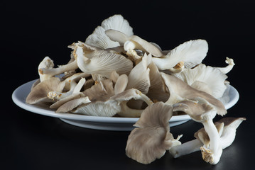 oyster mushroom dish in white against a black background.