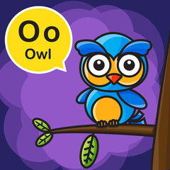 O Owl color cartoon and alphabet for children to learning vector