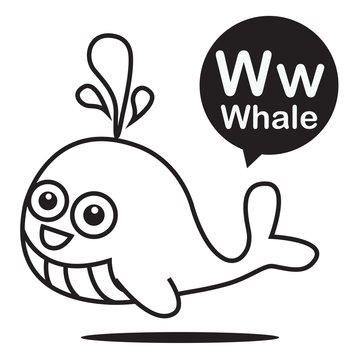W Whale cartoon and alphabet for children to learning and colori
