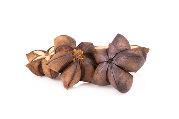 Sacha inchi peanut seed isolate on white background