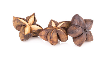 Sacha inchi peanut seed isolate on white background