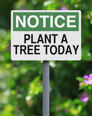 Plant A Tree Today
