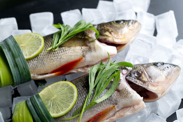 Cooking background, fresh fish on the ice cubes