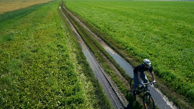 AERIAL: Young man cycling on bicycle at rural road through green and yellow summer meadow field. During sunny day.