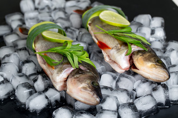 Cooking background, fresh fish on the ice cubes