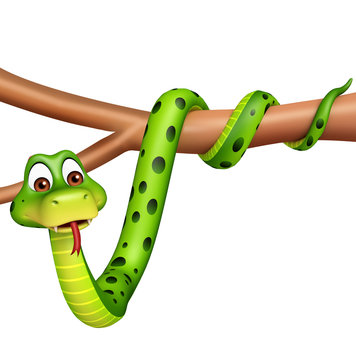 cute Snake cartoon character