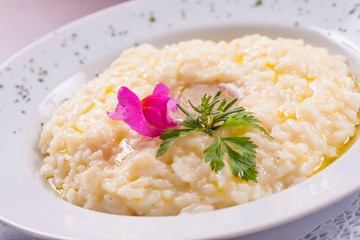 Gourmet Cheese Risotto