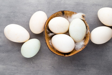  Duck eggs on a cage gray background.