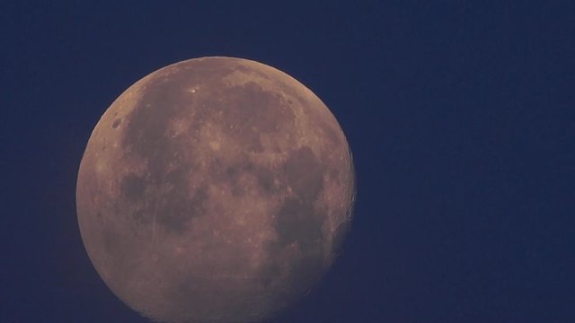 4K・明け方の満月_3-295