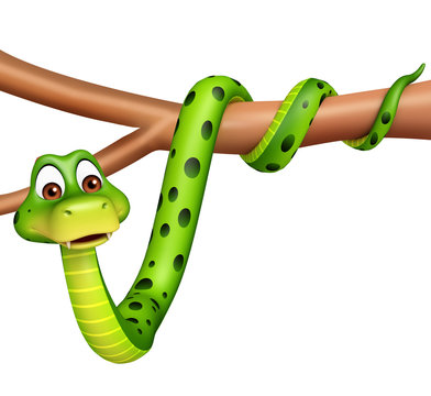 fun Snake cartoon character