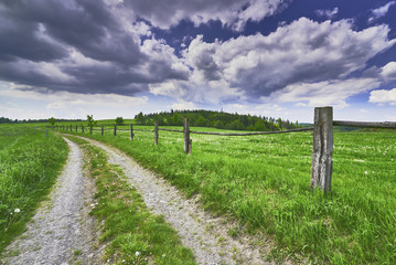 Fototapeta premium Path with fence