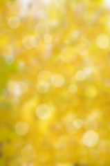 Vector leaf fall abstract background