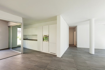 Fototapeta premium Interior, wide room with domestic kitchen