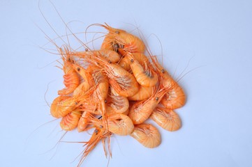 prawn Shrimp