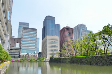 Fototapeta na wymiar 東京　大手町の緑とオフィスビル街