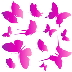 Naklejka na ściany i meble butterflies design