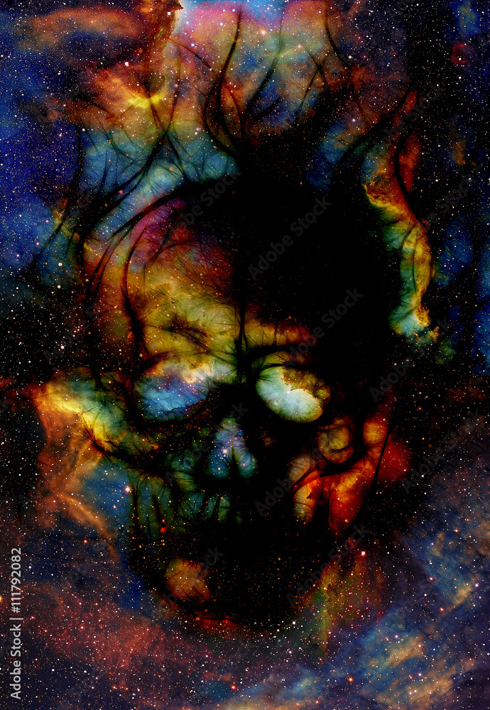 Poster skull and fractal effect. color space background, computer collage. elements of this image furnished