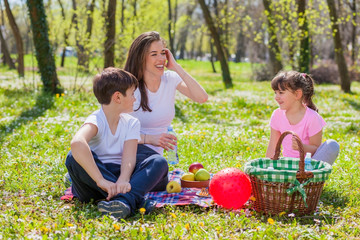 Family picnic in the park. Mother with children in the park
