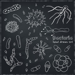 Bacteria virus icons set. Sketches. 