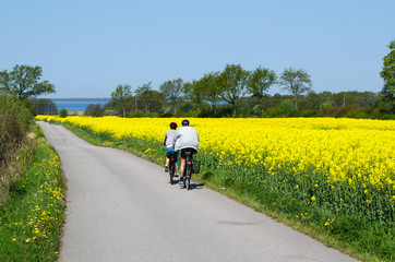 Cyclists in a spring colored landscape