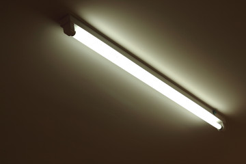 Neon tube light