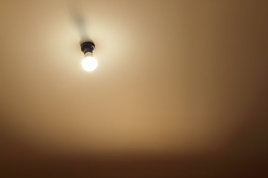 bulbs on wooden wall