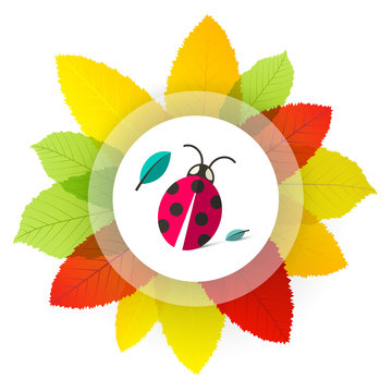 Ladybug - Ladybird on Leaves. Vector Cartoon with Colorful Leaves and Bug.