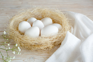 Eggs in a nest