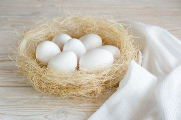 Eggs in a nest