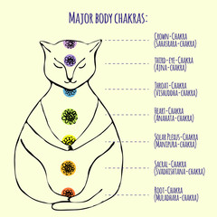Meditating cat in lotus position. Chart of seven major body chakras