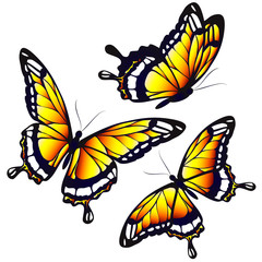 butterflies design