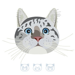 Cartoon tabby cat portrait. Vector Illustration.